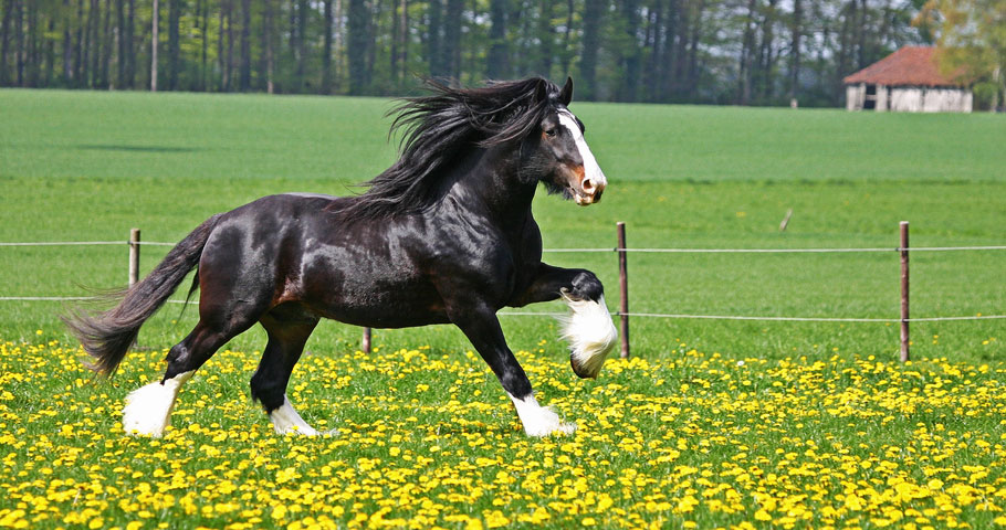 Amentities - Tenuta Il Cerro 1