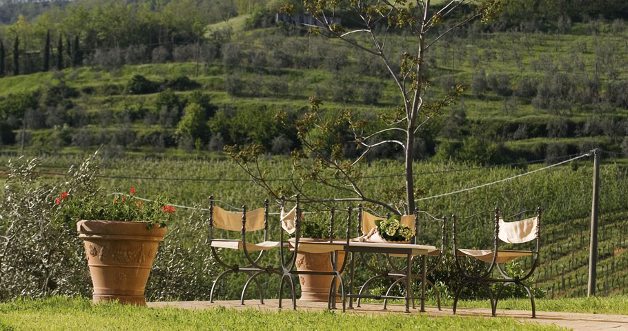 Il Parco Tenuta Il Cerro 3(DE)