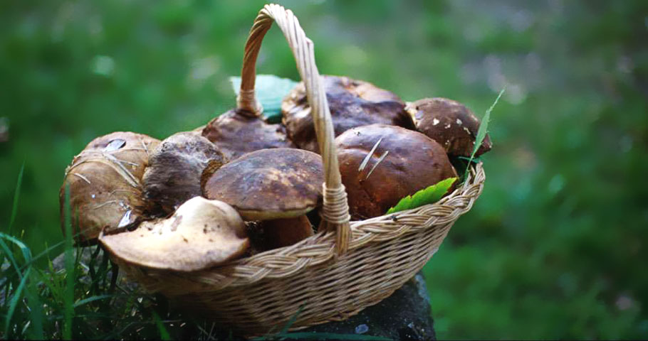 La Cucina del Mugello 4(DE)