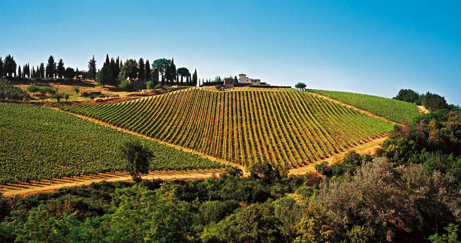 Mangiare a Firenze 2(DE)