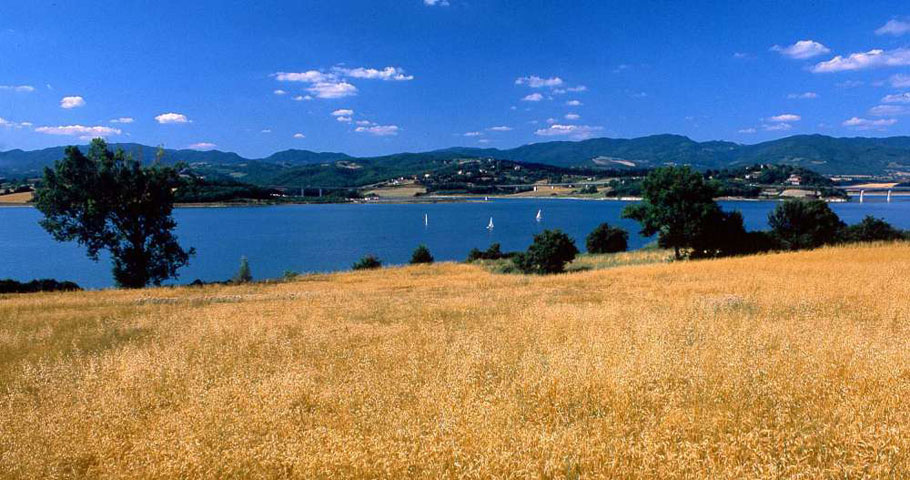 Trekking nel Mugello 3(EN)