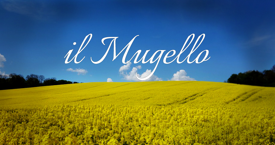 Holiday in historic mansion in Barberino Tenuta Il Cerro Holidays in historical mansions Tuscany villas pools Mugello Holiday in historic mansion in Barberino Tenuta Il Cerro Holidays in historical mansions Tuscany villas pools Mugello