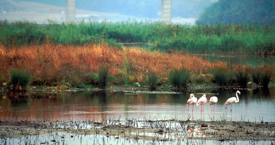 Le Oasi del Mugello 3